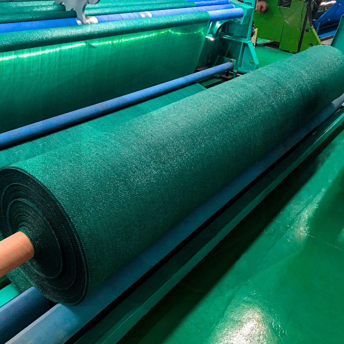 Semillas thumbnail 3